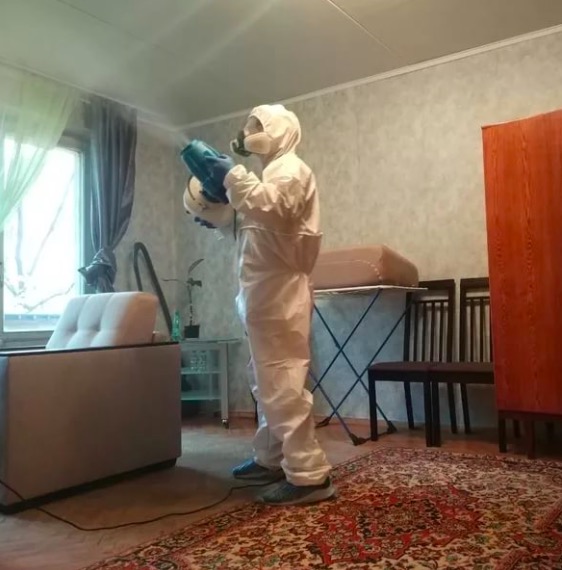 дезинсекция квартиры в Светлогорске